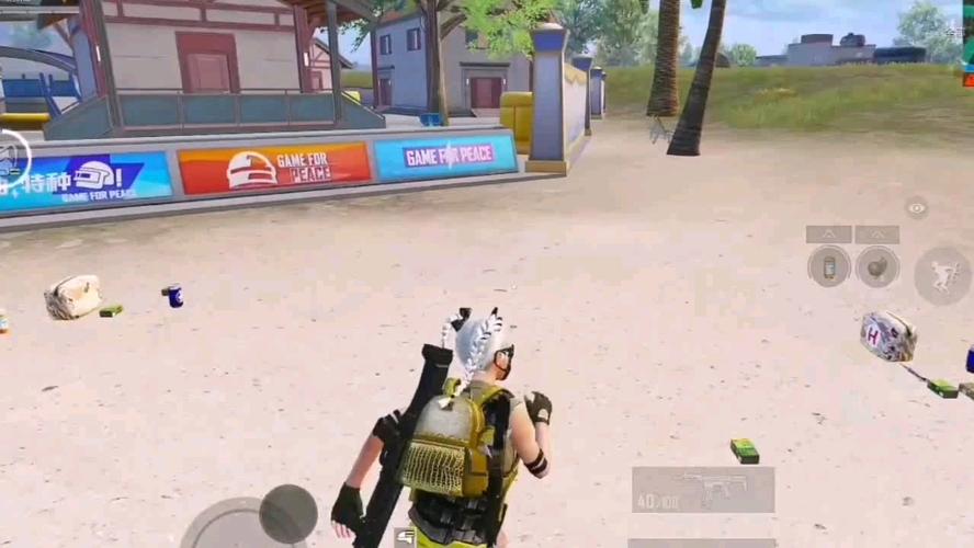 和平精英辅助【骷髅头容器直装】触摸自瞄 子弹穿墙 透视绘制 车辆飞天 透视绘制